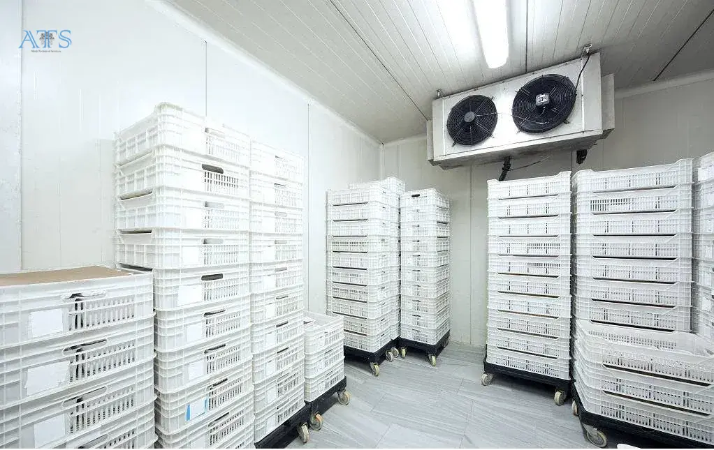Safety Documentation That Auditors Expect